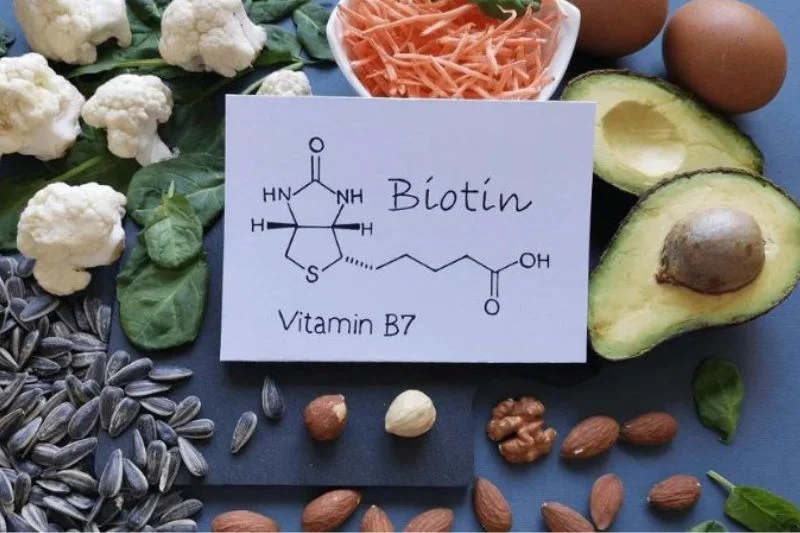 Bạn có thể bổ sung Biotin qua các thực phẩm hàng ngày như gan, lòng đỏ trứng, yến mạch, các loại đậu...