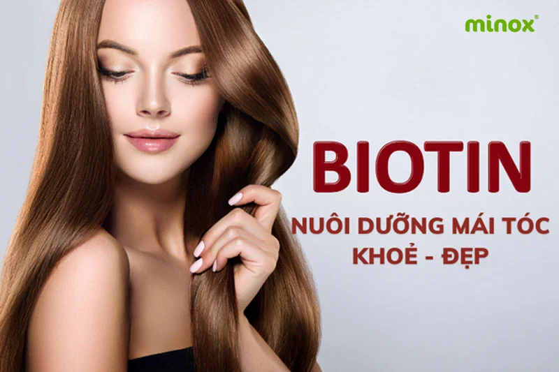 Biotin giúp duy trì sức khỏe mái tóc, bảo vệ và ngăn ngừa tình trạng lão hóa tóc như bạc sớm, gãy rụng,...