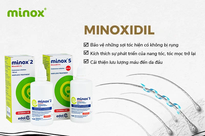 Minoxidil giúp kéo dài giai đoạn tăng trưởng, đồng thời rút ngắn giai đoạn thoái hoá của tóc, hạn chế rụng tóc