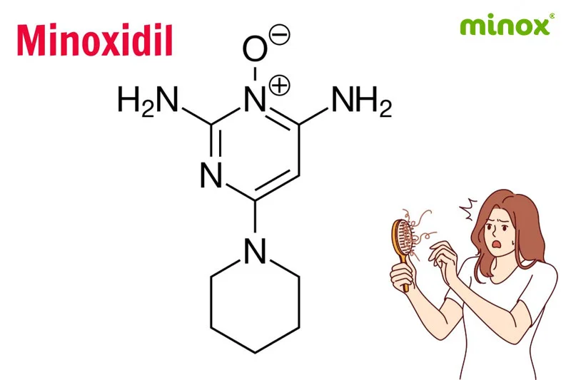 Minoxidil có thể đảo ngược quá trình rụng tóc của chứng rụng tóc nội sinh