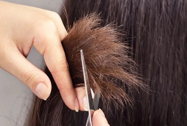 Cắt tỉa tóc định kỳ loại bỏ phần tóc hư tổn và giúp tóc khỏe mạnh hơn